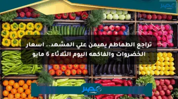 تراجع الطماطم يهيمن على المشهد.. أسعار الخضروات والفاكهة اليوم الثلاثاء 6 مايو